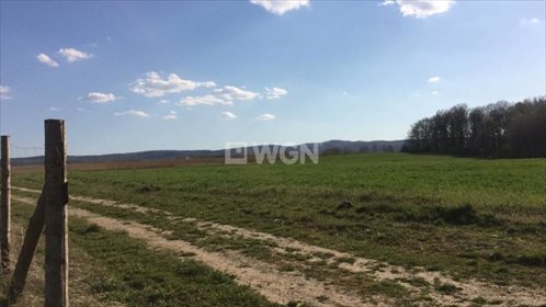 Działka budowlana na sprzedaż Krajów, KRAJÓW, KRAJÓW 1 100m2 Foto 3