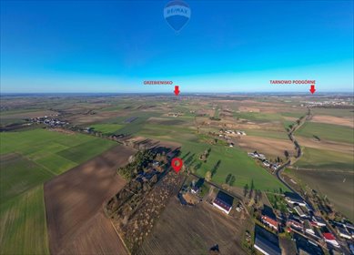 działka na sprzedaż 2962m2 działka Brzoza