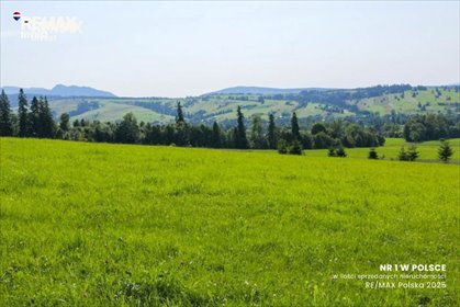 Działka 4354 m² w Dzianiszu (widok na Tatry, słoneczna) działka Dzianisz