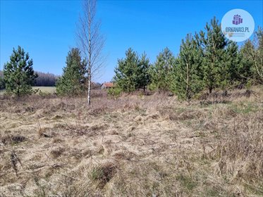 Działka budowlana na sprzedaż Biesówko, Biesówko 5 771m2 Foto 7