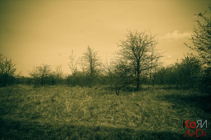 Działka rekreacyjna na sprzedaż Stare Chojno 4 000m2 Foto 1