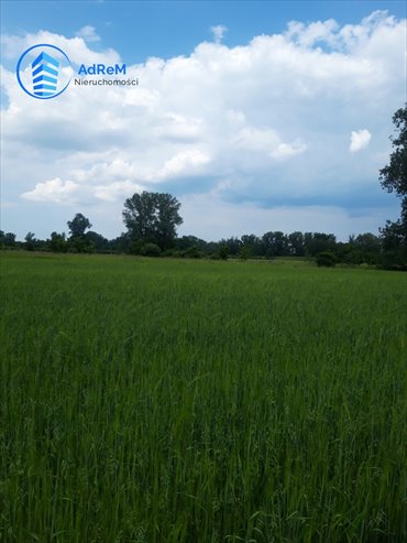 działka na sprzedaż 7415m2 działka Podłęcze