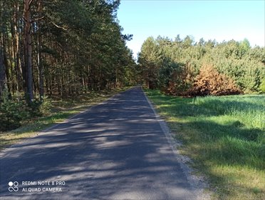 działka na sprzedaż 4190m2 działka Radziwie