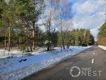 działka na sprzedaż 3000m2 działka Kąty, Trakt Królewski