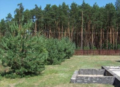 Działka budowlana na sprzedaż Marki 2 800m2 Foto 1