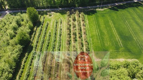 działka na sprzedaż 8700m2 działka Kamień-Kolonia