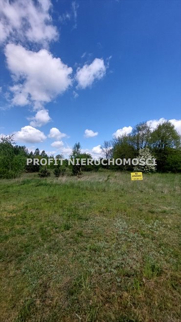 działka na sprzedaż 800m2 działka Zelów, Lubelska