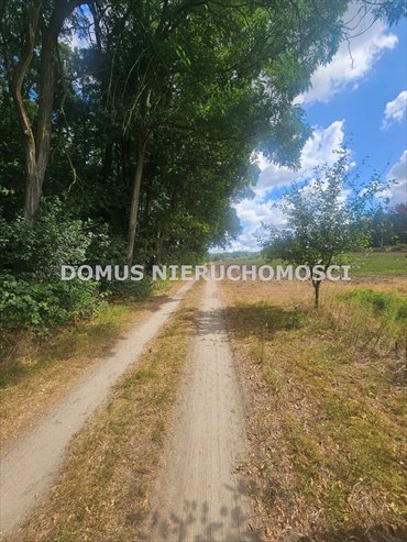 Działka leśna w Nagawkach 1915 m² – idealna inwestycja działka Nagawki
