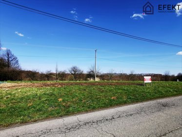 Sprzedam działkę 3643 m² z mediami w Regulicach działka Regulice