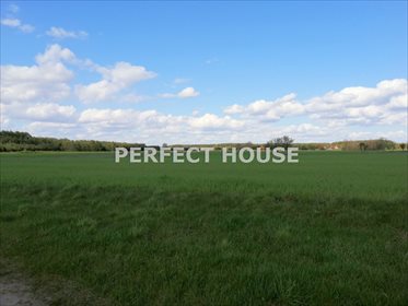 Dom na sprzedaż Drawsko 268m2 Foto 5