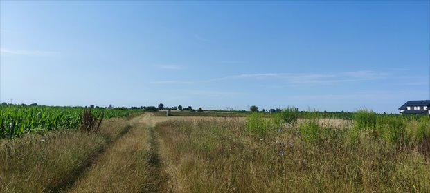 działka na sprzedaż 1500m2 działka Zaborówek, Łąkowa