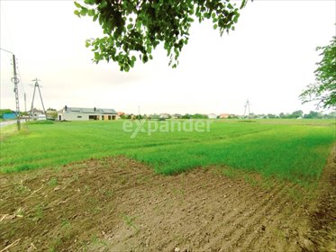 działka na sprzedaż 3086m2 działka Bieruń, Czarnuchowice, Promienna