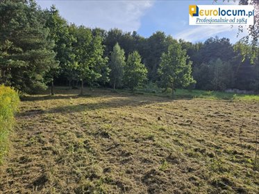 działka na sprzedaż 8471m2 działka Kielce, Zalesie, Przegony