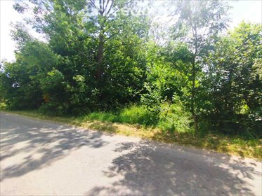 działka na sprzedaż 2100m2 działka Żarnówka