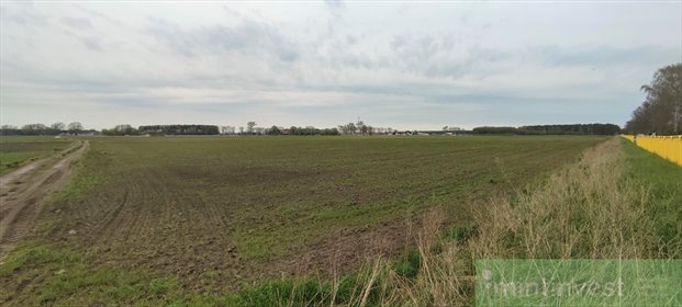 działka na sprzedaż 7387m2 działka Lubczyna