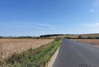 Sprzedam działkę 56 000 m² pod inwestycję usługową i mieszkaniową działka Gostyń