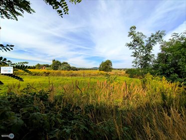 Sprzedam działkę 873 m² w Sukowie z rozpoczętą budową działka Daleszyce, Suków, Suków