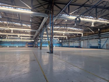 Na wynajem hala 3000m² z suwnicą i biurami w Mikołowie lokal użytkowy Mikołów