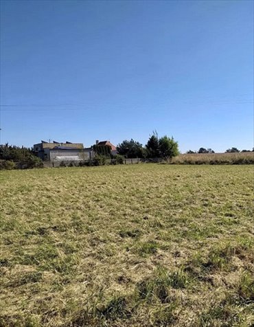 działka na sprzedaż 1400m2 działka Żelazków, Wojciechówka