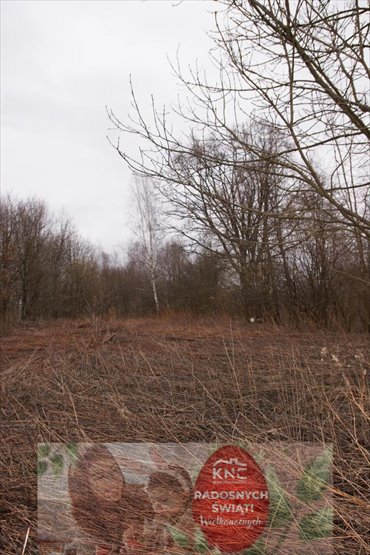 działka na sprzedaż 6000m2 działka Kazimierz Dolny