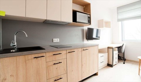 mieszkanie na wynajem 17m2 mieszkanie Wrocław, Dyrekcyjna 1