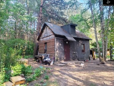 Urokliwy dom drewniany 50 m2 z dużą działką w Polkowie dom Polkowo