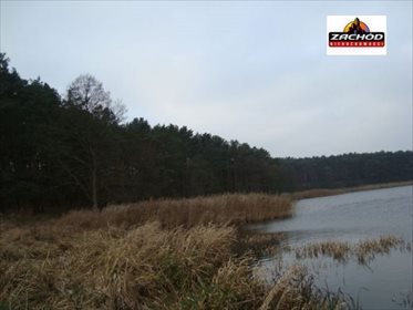 działka na sprzedaż 20300m2 działka Przytoczna