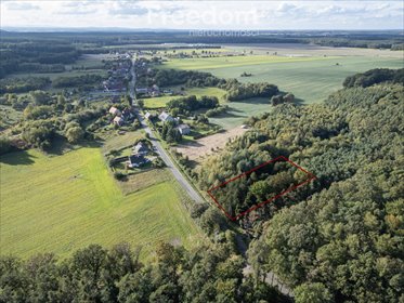 Działka leśno-rolna 2400 m² z dostępem do asfaltu działka Jaczowice