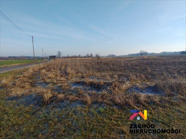 działka na sprzedaż 16400m2 działka Łęgowo