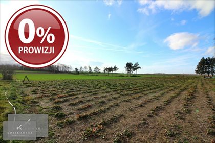 Działka budowlana na sprzedaż Kamienna 1 105m2 Foto 1