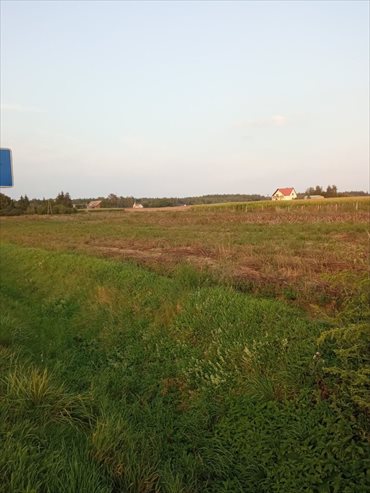 Działka inwestycyjna na sprzedaż Zdrojewo 6 500m2 Foto 5