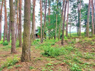 Działka rekreacyjna na sprzedaż Drożdżówka 1 427m2 Foto 4