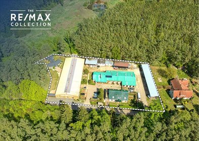 Lokal z domem, halą i stajnią na 6156 m² – inwestycja lokal użytkowy Zielona Góra, Ochla-św. Huberta