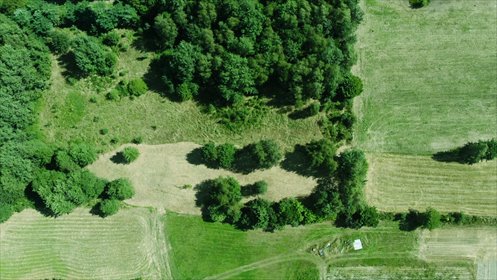 Działka 2393 m² w Wysokiej - południowa ekspozycja działka Wysoka, Przedszkolna