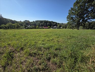 Polecam działkę 2980 m² z mediami w Chmielniku działka Chmielnik