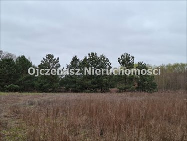 działka na sprzedaż 5200m2 działka Błądzim