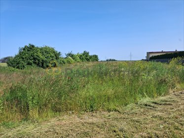 działka na sprzedaż 519m2 działka Kościan