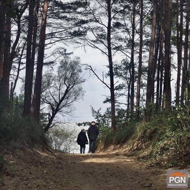 działka na sprzedaż 1055m2 działka Pobierowo, Bukowa