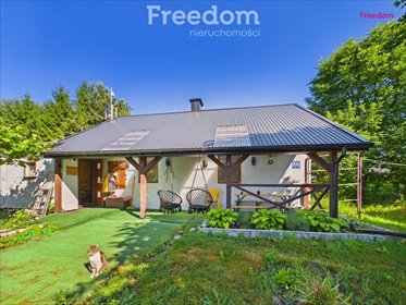Malownicza działka 11 000 m² z domkiem i szklarnią działka Grzmucin, Grzmucin-Kolonia