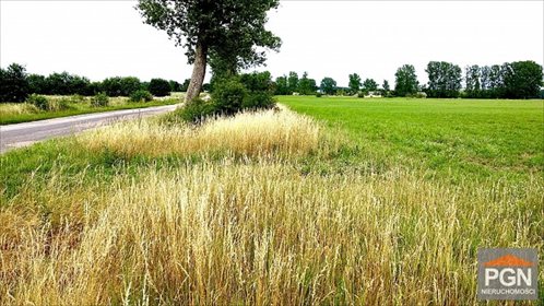 Do sprzedania działka 3000 m² w Trzebieszewie z mediami działka Trzebieszewo