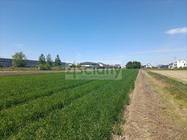 Kształtna działka 1246 m² z mediami (Zgorzała) działka Zgorzała