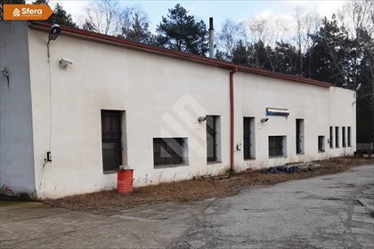 lokal użytkowy na sprzedaż 621m2 lokal użytkowy Nowa Wieś Wielka