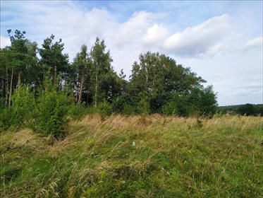 Działka budowlana na sprzedaż Osolin, Oborniki Śląskie 2 718m2 Foto 5
