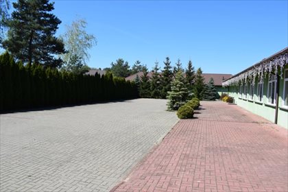 Lokal użytkowy na sprzedaż Janówek Pierwszy 480m2 Foto 7