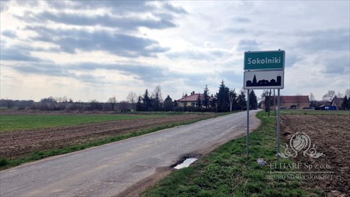 działka na sprzedaż 3000m2 działka Sokolniki, Sokolniki, Sokolniki