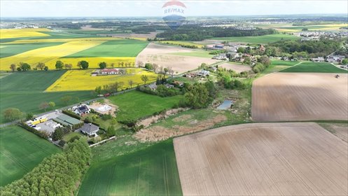 Działka 9521 m² pod zabudowę jednorodzinną, inwestycję działka Napachanie