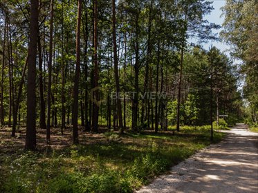 działka na sprzedaż 1800m2 działka Sękocin-Las, Księżnej Zofii Czetwertyńskiej