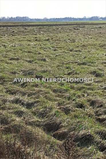 działka na sprzedaż 1149m2 działka Jaktorów, Chyliczki