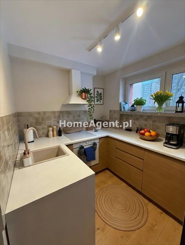 mieszkanie na wynajem 44m2 mieszkanie Siemianowice Śląskie