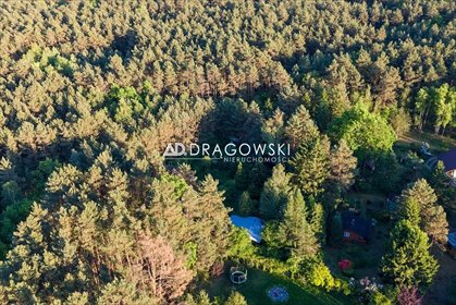 Urokliwa działka 1100 m2 z domkiem i lasem w Poddębiu działka Poddębie